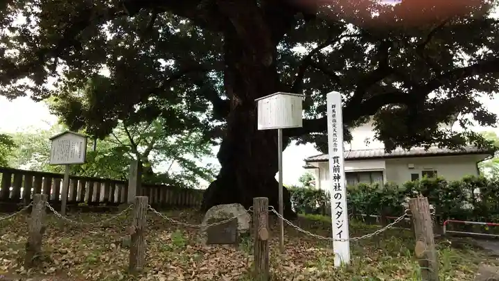 一之宮貫前神社(群馬県)