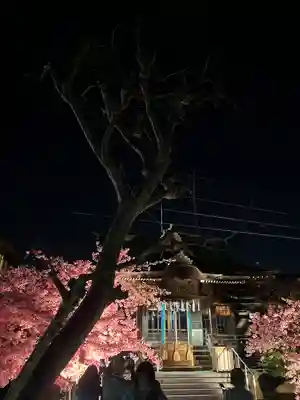 桜神宮(東京都)