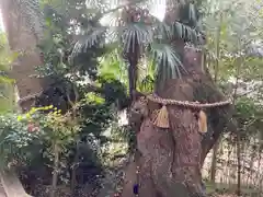 稗田神社の自然