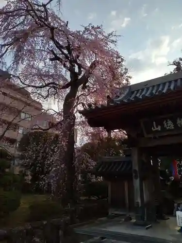 栽松院(宮城県)
