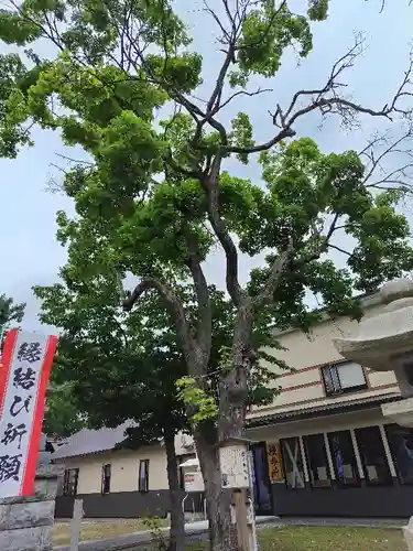 空知神社の自然