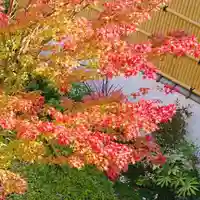 寿量山 速成寺の自然