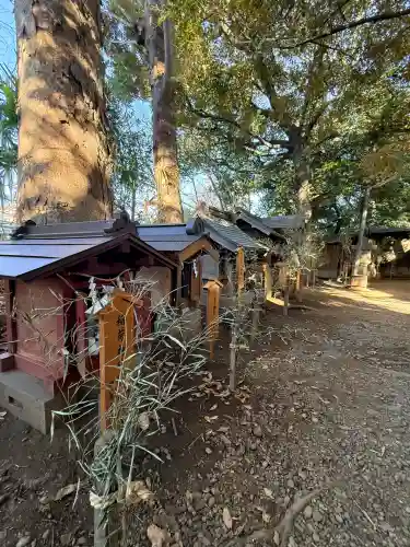川越氷川神社(埼玉県)