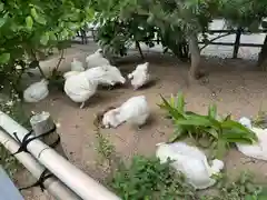 高屋敷稲荷神社(福島県)