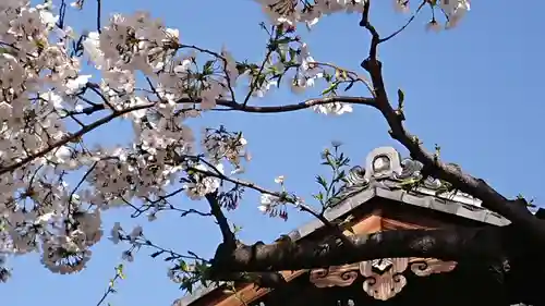 西新井大師総持寺の自然