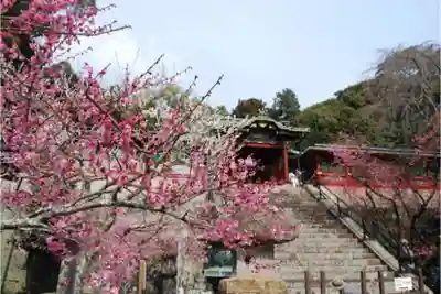 久能山東照宮のその他建物