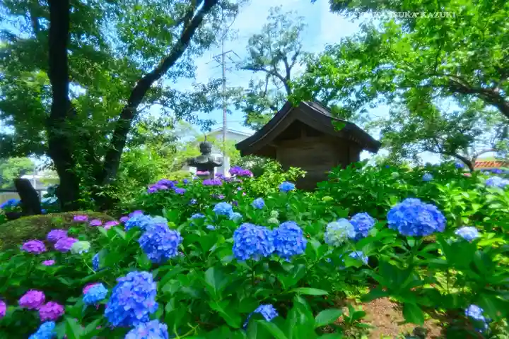 妙楽寺(神奈川県)