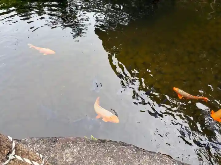秋葉總本殿可睡斎(静岡県)