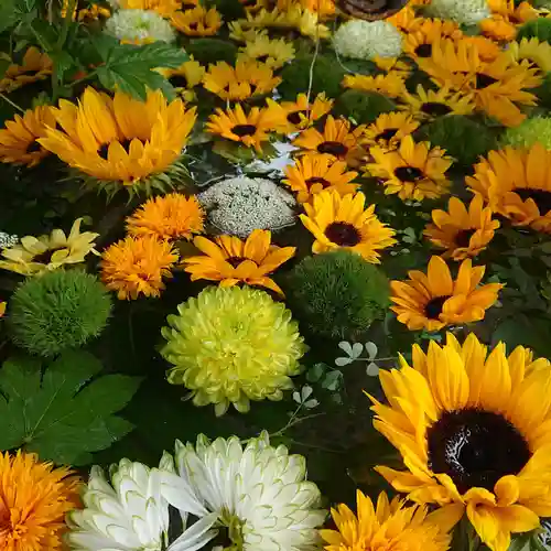 住吉神社の手水舎