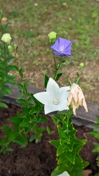 智積院(京都府)