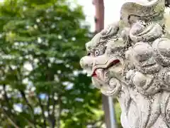 道光神社の狛犬