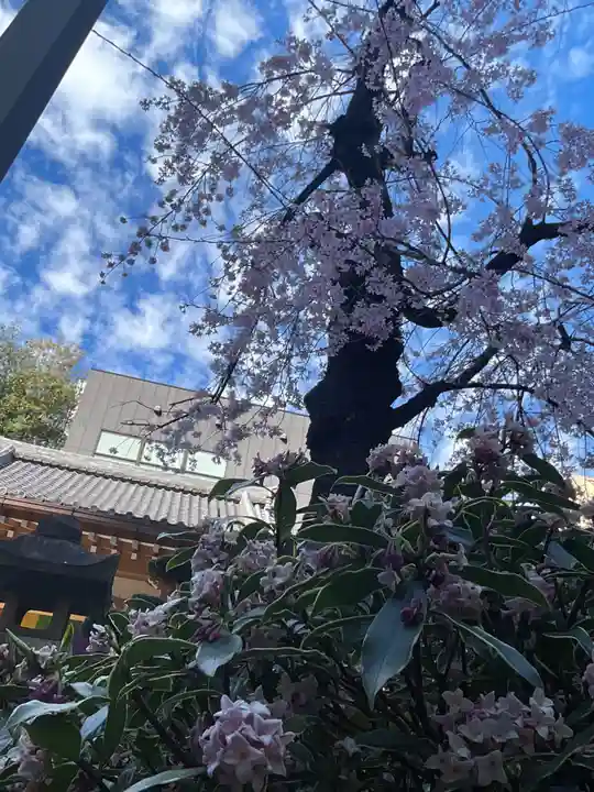 日蓮宗瑞光山久遠寺(愛知県)