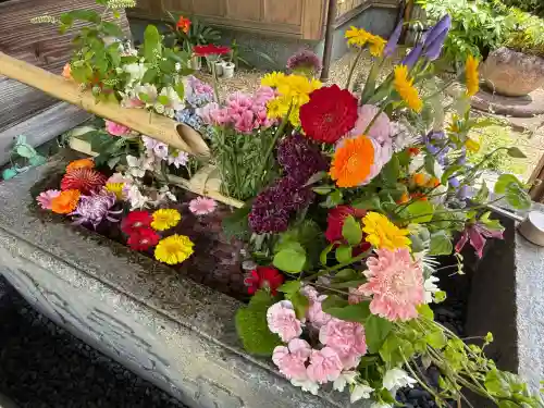 勝林寺(京都府)