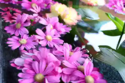 三津厳島神社の手水舎