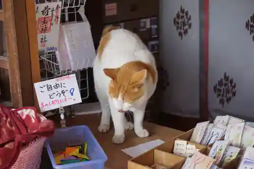 前玉神社の動物
