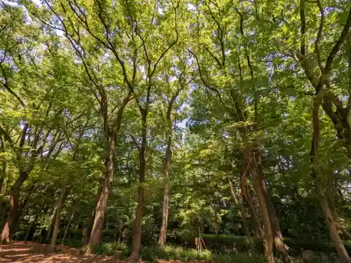 賀茂御祖神社（下鴨神社）(京都府)