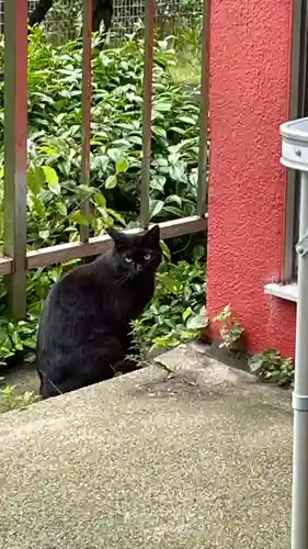 奥山稲荷社の動物