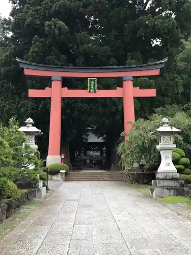 河口浅間神社の鳥居