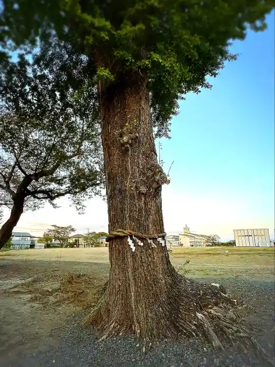 吉岡八幡神社(宮城県)