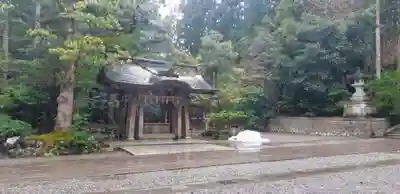彌彦神社の手水舎