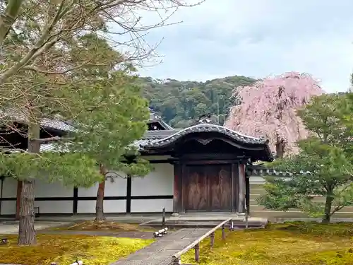 高台寺（高台寿聖禅寺・高臺寺）の山門