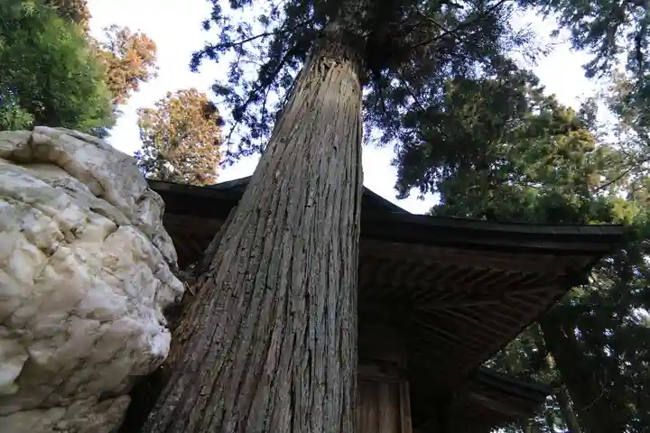 鹿島大神宮の本殿・本堂