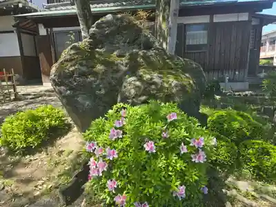 単伝庵(京都府)