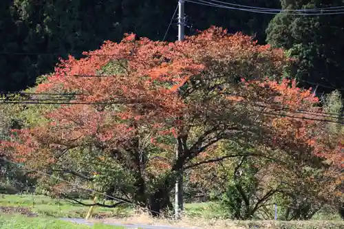 高司神社〜むすびの神の鎮まる社〜の自然