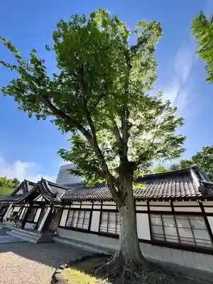 大阪護國神社(大阪府)