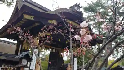 豊国神社の山門・神門