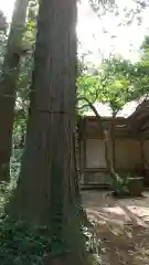 鹿島神社の建物その他