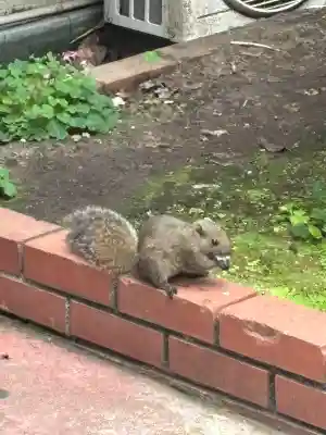江島神社(神奈川県)