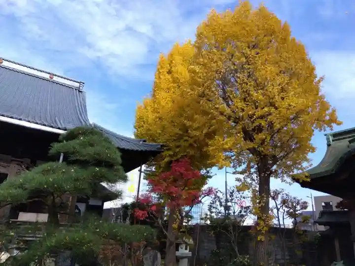 長慶寺(福井県)