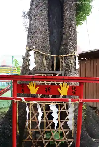 五方山熊野神社(東京都)