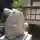 うえこさんのプロフィール画像