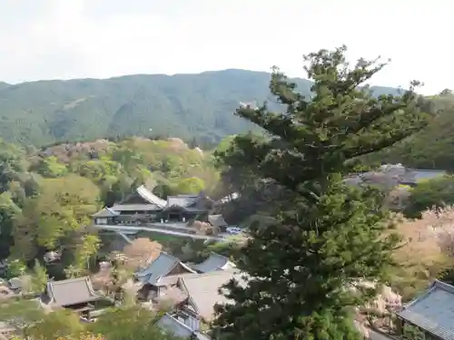 長谷寺(奈良県)