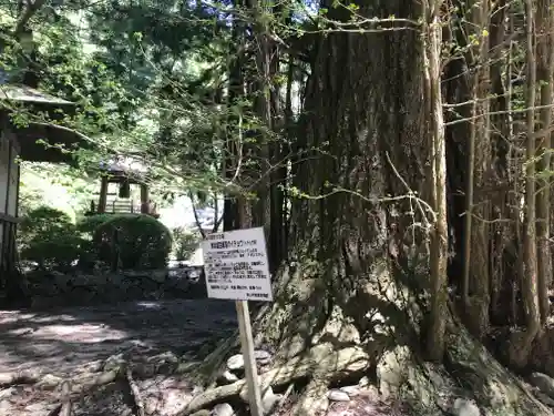 柳津虚空蔵尊 寳性院のその他建物