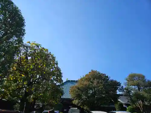 長喜院(埼玉県)