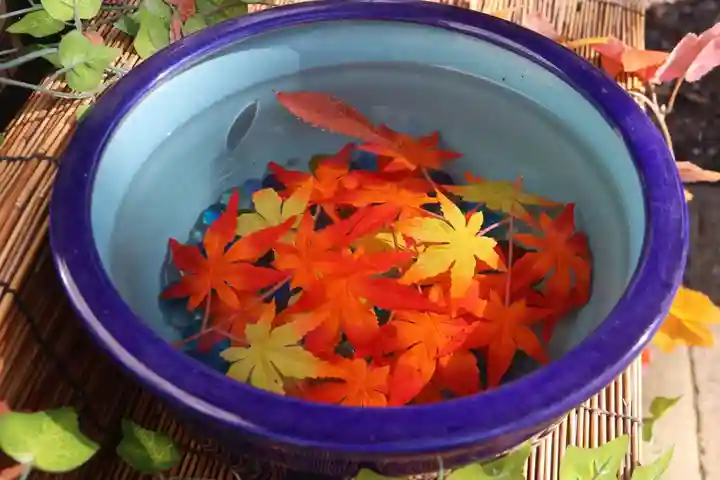 阿邪訶根神社のおみくじ