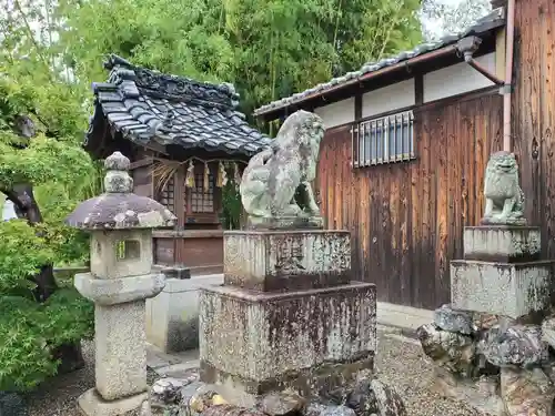 武甕槌神社の狛犬