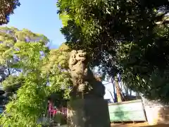 太子堂八幡神社の狛犬