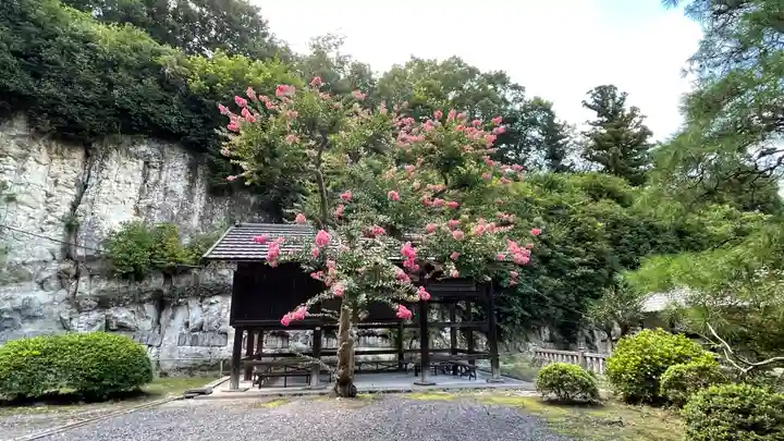 正法寺(埼玉県)