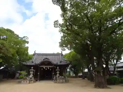 津田天満神社の本殿・本堂