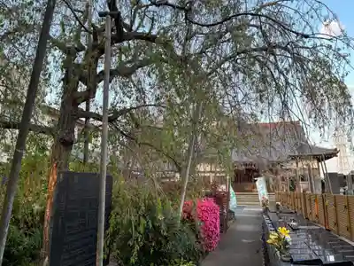 浄蓮寺(千葉県)