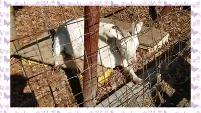 出雲大社相模分祠(神奈川県)