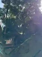 大甕神社の御朱印