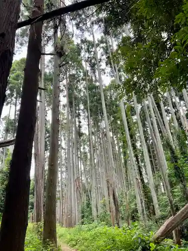 日吉神社(千葉県)
