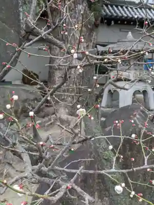 大阪天満宮(大阪府)