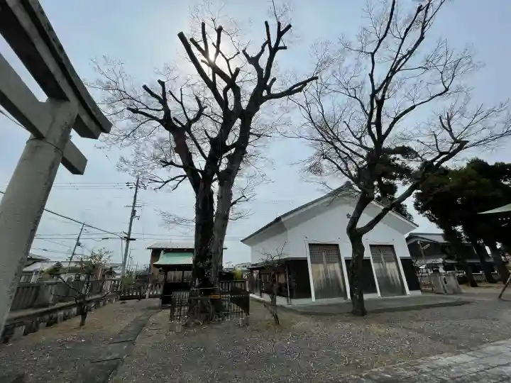菅原神社の{uncategorized: "未分類", other: "その他", undefined: "問題あり", building: "その他建物", grave: "お墓", sacred_gate: "鳥居", guardian: "狛犬", statue: "像", buddha: "仏像", history: "歴史", nature: "自然", garden: "庭園", animal: "動物", pagoda: "塔", temizu: "手水舎", mountain_gate: "山門・神門", sanctuary: "本殿・本堂", subordinate: "末社・摂社", art: "芸術", scenery: "景色", jizo: "地蔵", ema: "絵馬", goshuin: "御朱印", omikuji: "おみくじ", items: "授与品その他", amulet: "お守り", goshuincho: "御朱印帳", eats: "食事", festival: "お祭り", votive_dance: "神楽", shichigosan: "七五三参", wedding: "結婚式", experience: "体験その他", initially: "初詣", around: "周辺", anti_infection: "感染症対策"}