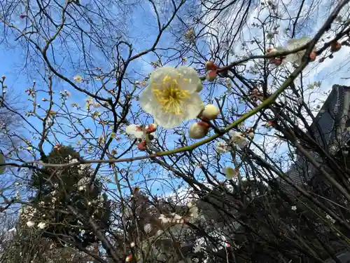 大生郷天満宮の自然